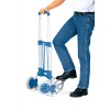 Paketroller Traglast | 125 kg