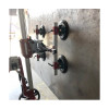 Glaslifter UPT250
