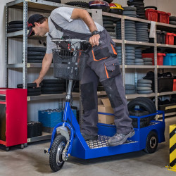 Elektroroller - Colly 2S 2