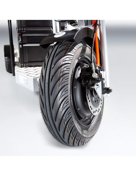 eTrike Plattform Scooter - Fath eTrike Plattform Scooter - Fath