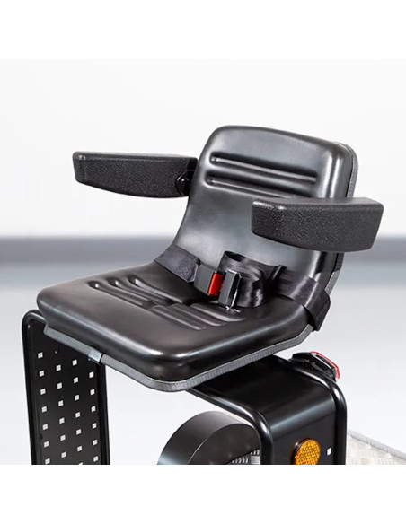 Sitz mit Armlehne und Sicherheitsgurt für eTrike Fath