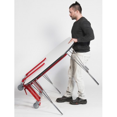 Multi Trolley Standard