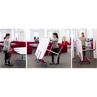 Multi Trolley Standard