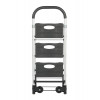 Mobile Allzweckleiter / Transportkarre