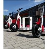Elektro-Transportroller Euroscooter Typ 175