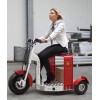 Elektro-Transportroller Euroscooter Typ 175