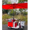 Elektro-Transportroller Euroscooter Typ 175