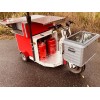 Elektro-Transportroller Euroscooter Typ 175